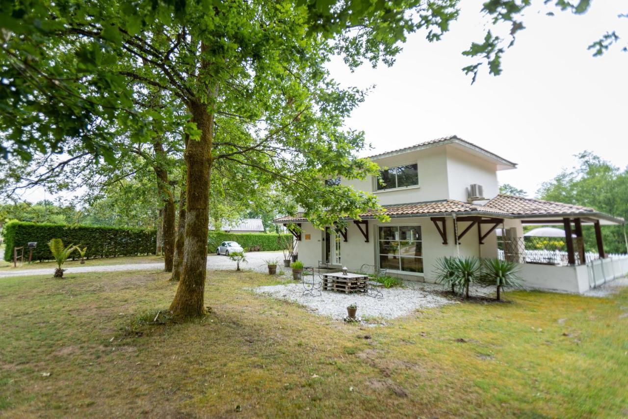 La Villa Minvia Les Landes Entre Mer Et Montagne Saint-Vincent-de-Paul  エクステリア 写真