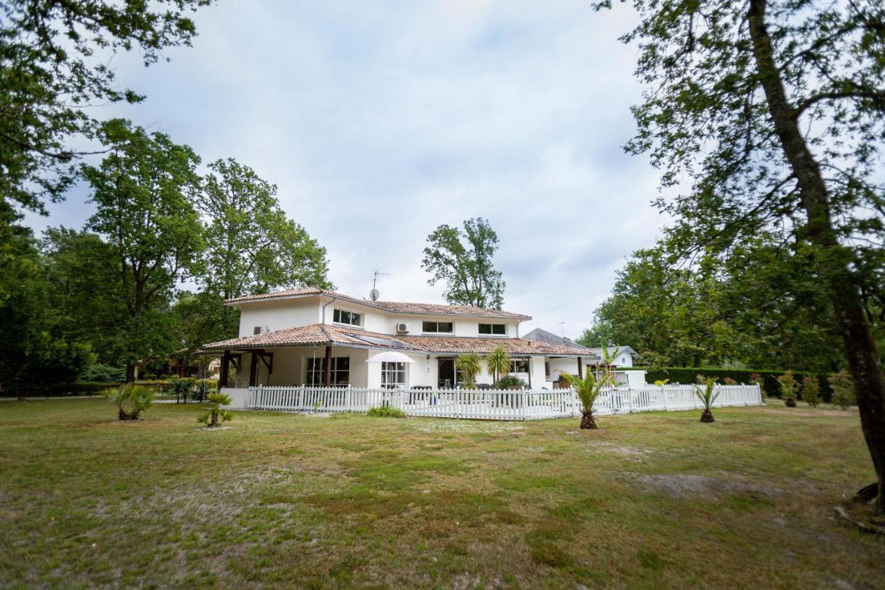 La Villa Minvia Les Landes Entre Mer Et Montagne Saint-Vincent-de-Paul  エクステリア 写真
