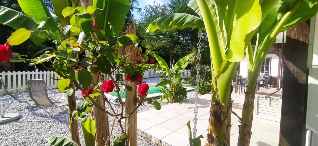 La Villa Minvia Les Landes Entre Mer Et Montagne Saint-Vincent-de-Paul  エクステリア 写真